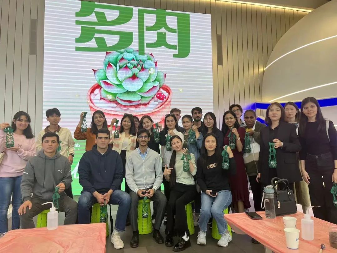 对蚂蚁开云平台福利入口的发展历程